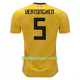 Billige Fotballdrakter Belgia Vertonghen 5 VM 2018 Bortedraktsett